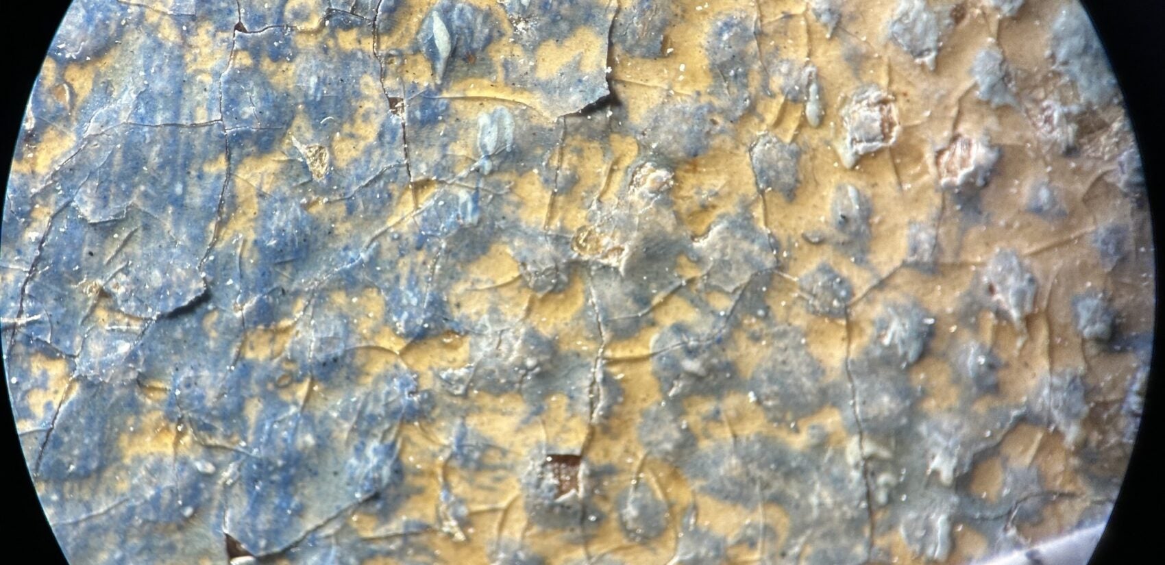 A microscopic view shows cracked paint