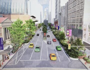 A rendering of what South Broad Street would look like facing North, with large sections with trees and bushes on either side of the street and the median.