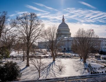 The Capitol in Washington D.C. is seen on a snowy day
