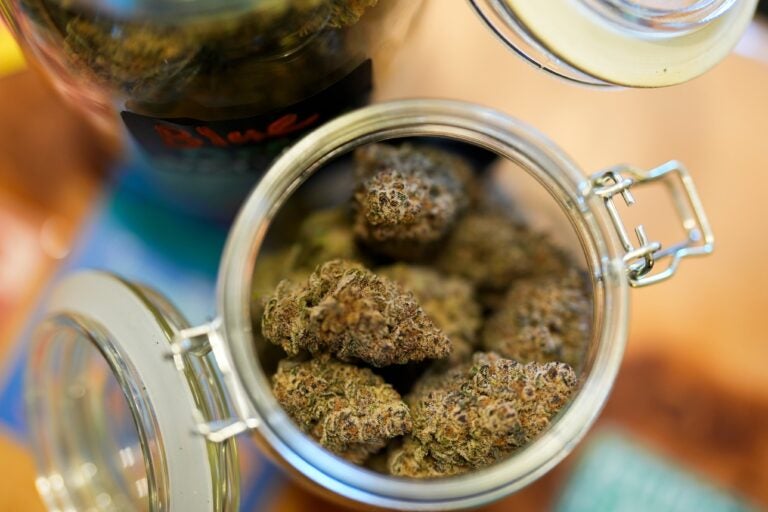 Cannabis expuesto en una tienda