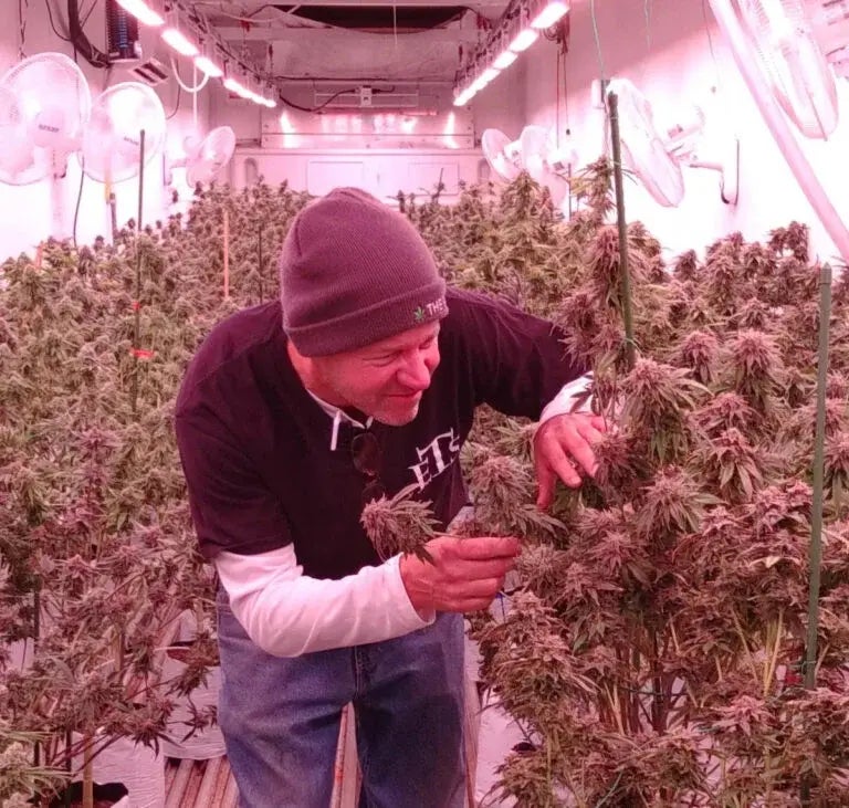 David Rohrer of The Farm, a Delaware marijuana business
