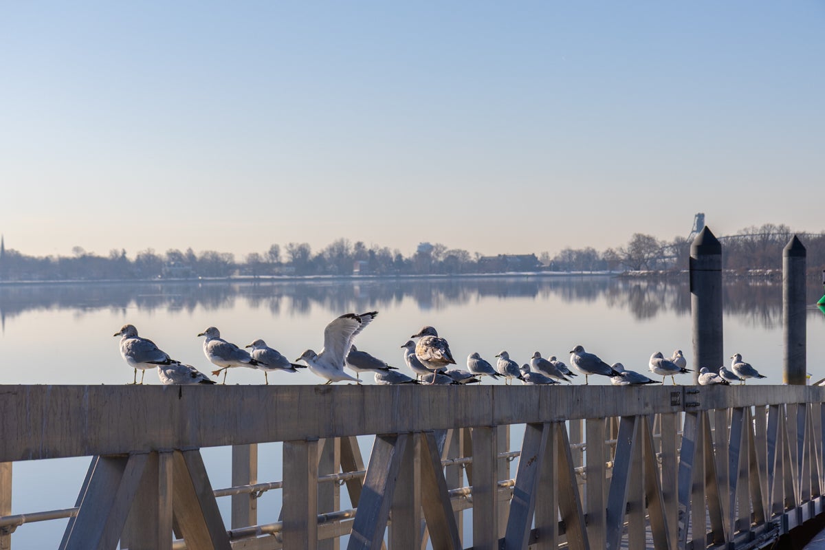 The Delaware River near Bristol, Pennsylvania