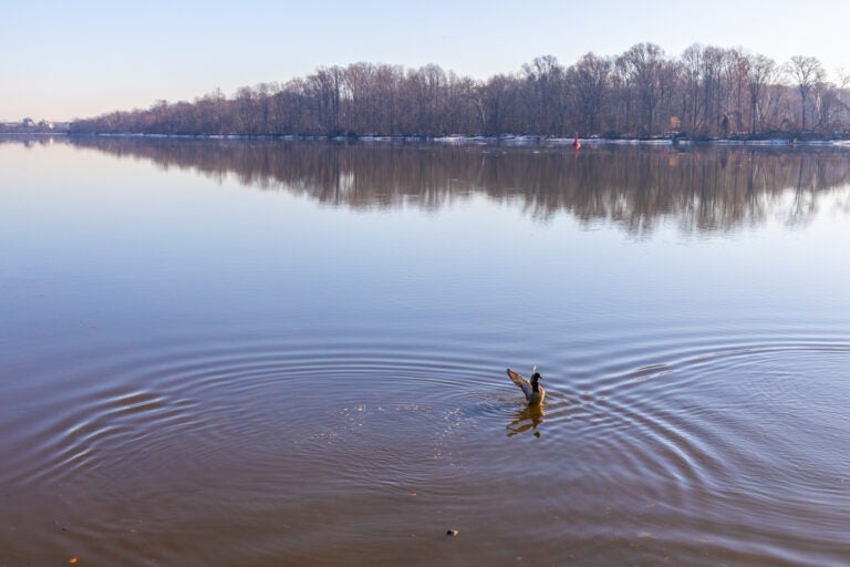 The Delaware River near Bristol, Pennsylvania