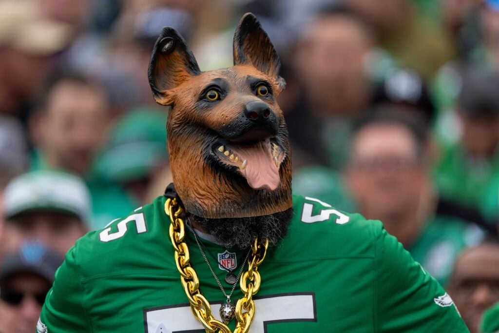 An Eagles fan at the stadium wearing a green jersey and a dog mask