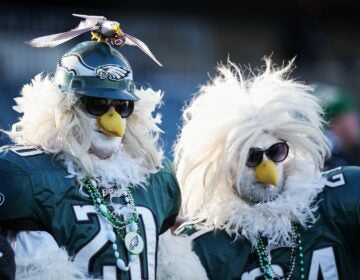 Two Eagles fans at the football stadium dressed in Eagle costumes from head to toe, and wearing jerseys