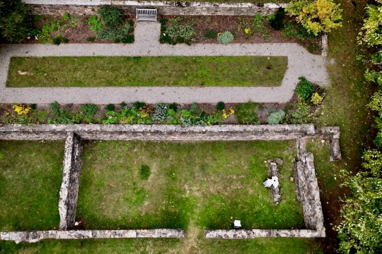 The foundations of a military hospital and its associated herb garden