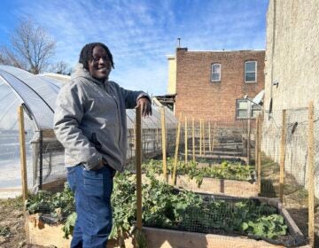 Jovian Patterson standing next to a raised bed filled with greens