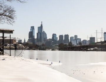 The Philadelphia skyline seen from the banks of the Schuylkill River