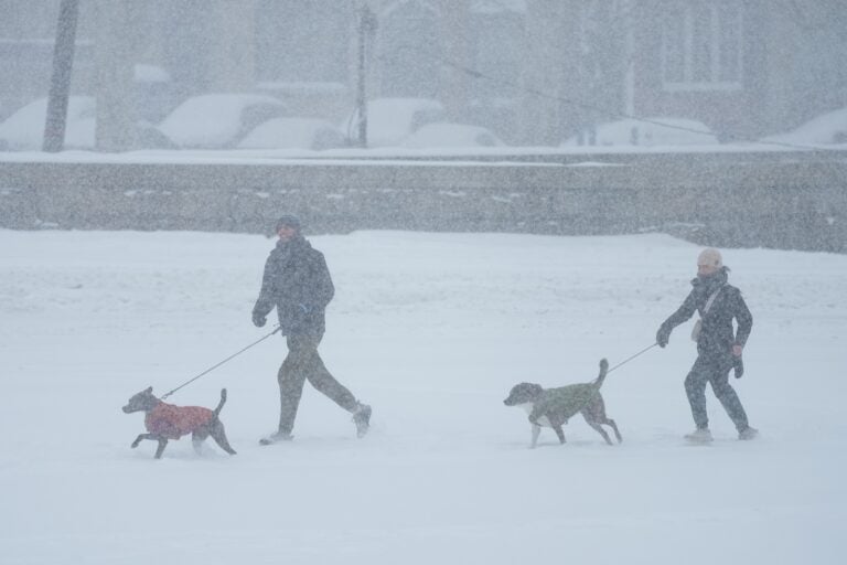 People walk their dogs during a winter storm in Philadelphia, Sunday, Jan. 25, 2026.