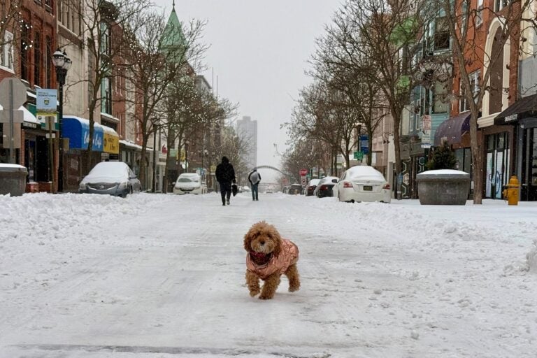 A dog goes for a walk with her human through snow-covered streets in Wilmington, Delaware