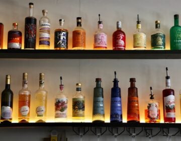 2026 01 16-e lee-philadelphia fishtown bar palmina-nonalcoholic cocktails behind the bar A wide array of nonalcoholic liquors are lined up behind the bar at Bar Palmina in Fishtown. (Emma Lee/WHYY)