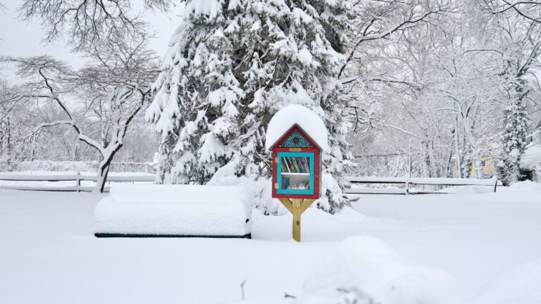 A little free library can be seen standing above the snow, while a bench next to it is entirely covered after a huge snowstorm in Moorestown, New Jersey