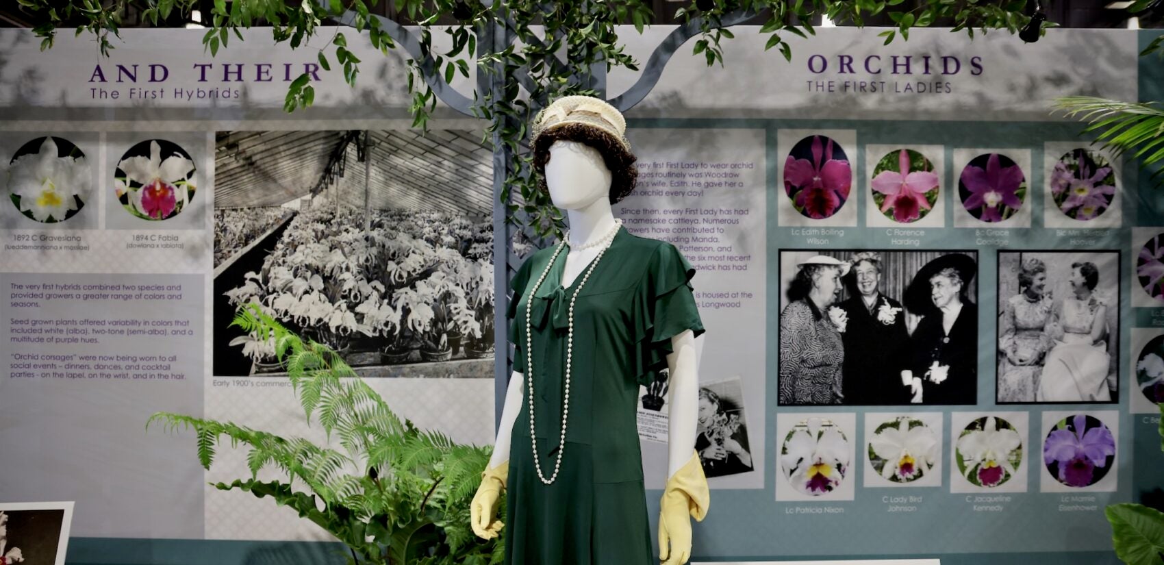 an orchids exhibit at the flower show