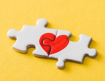 (LIGHTFIELD STUDIOS INC.)