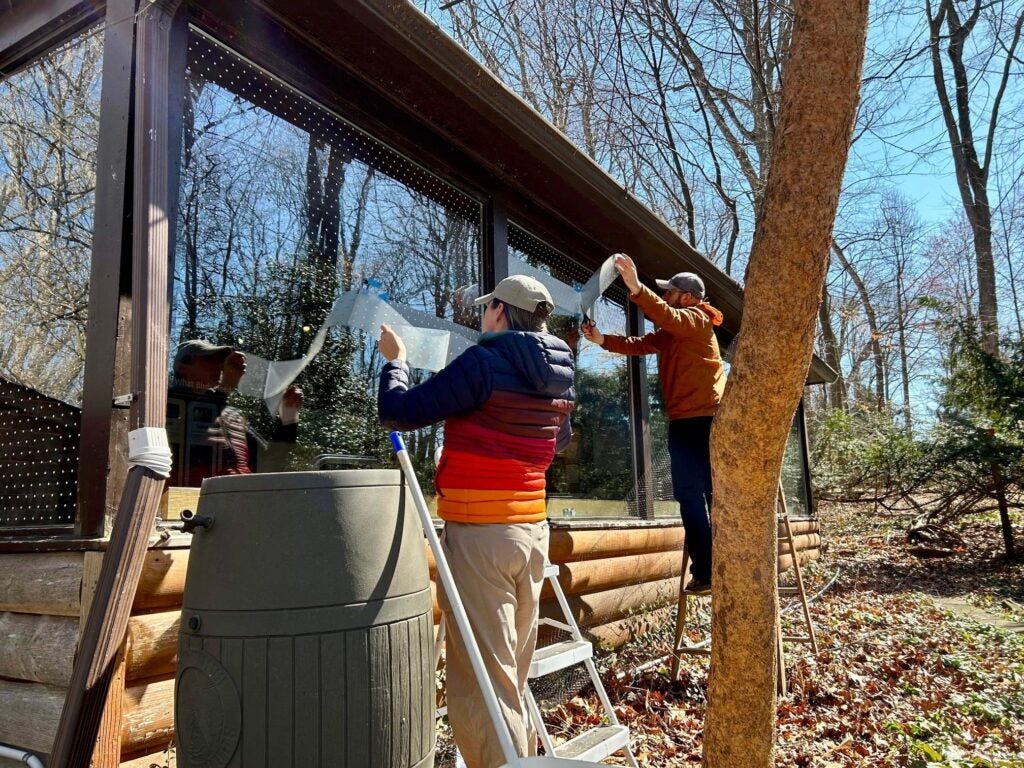 two people installing bird protections on windows