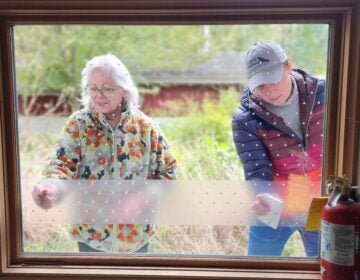 two people installing bird protections on windows