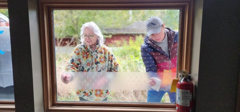 two people installing bird protections on windows