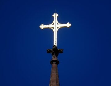 The Cathedral of the Immaculate Conception