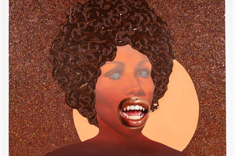 A painting by Devan Shimoyama