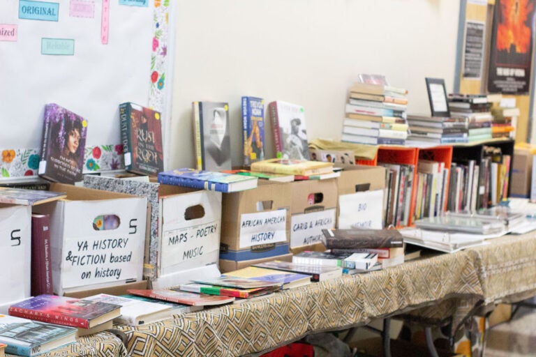 Various categories of literature by African American writers and artists on display at the summit. (Eric Nixon/WHYY)