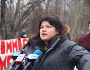Guadalupe Lopez speaks at a rally