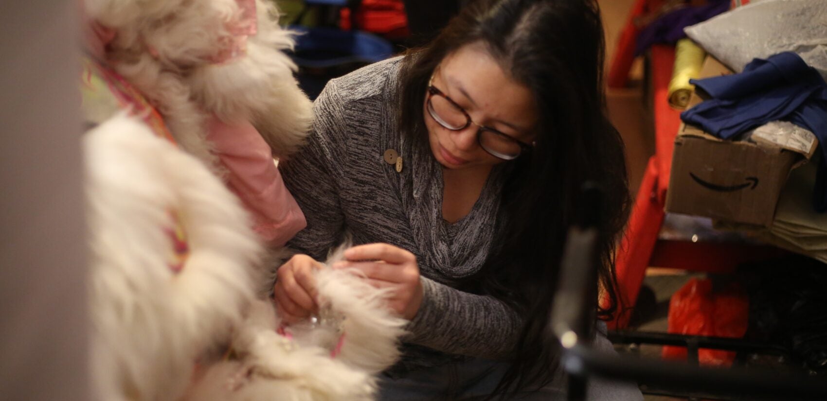 Philadelphia Suns members and volunteers made touch-ups and repairs for some of the lion heads that will be seen at lion dances throughout the region during the Lunar New Year on Feb. 13, 2026. (Cory Sharber/WHYY)