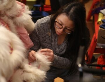lunar-new-year-philadelphia-2026-10 Philadelphia Suns members and volunteers made touch-ups and repairs for some of the lion heads that will be seen at lion dances throughout the region during the Lunar New Year on Feb. 13, 2026. (Cory Sharber/WHYY)