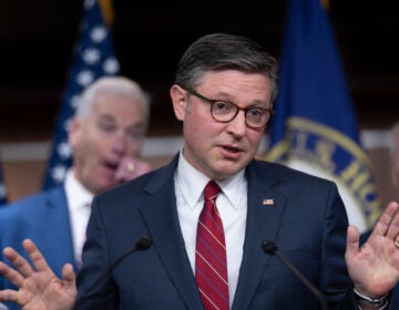 Mike Johnson Speaker of the House Mike Johnson, R-La., gestures as he meets with reporters