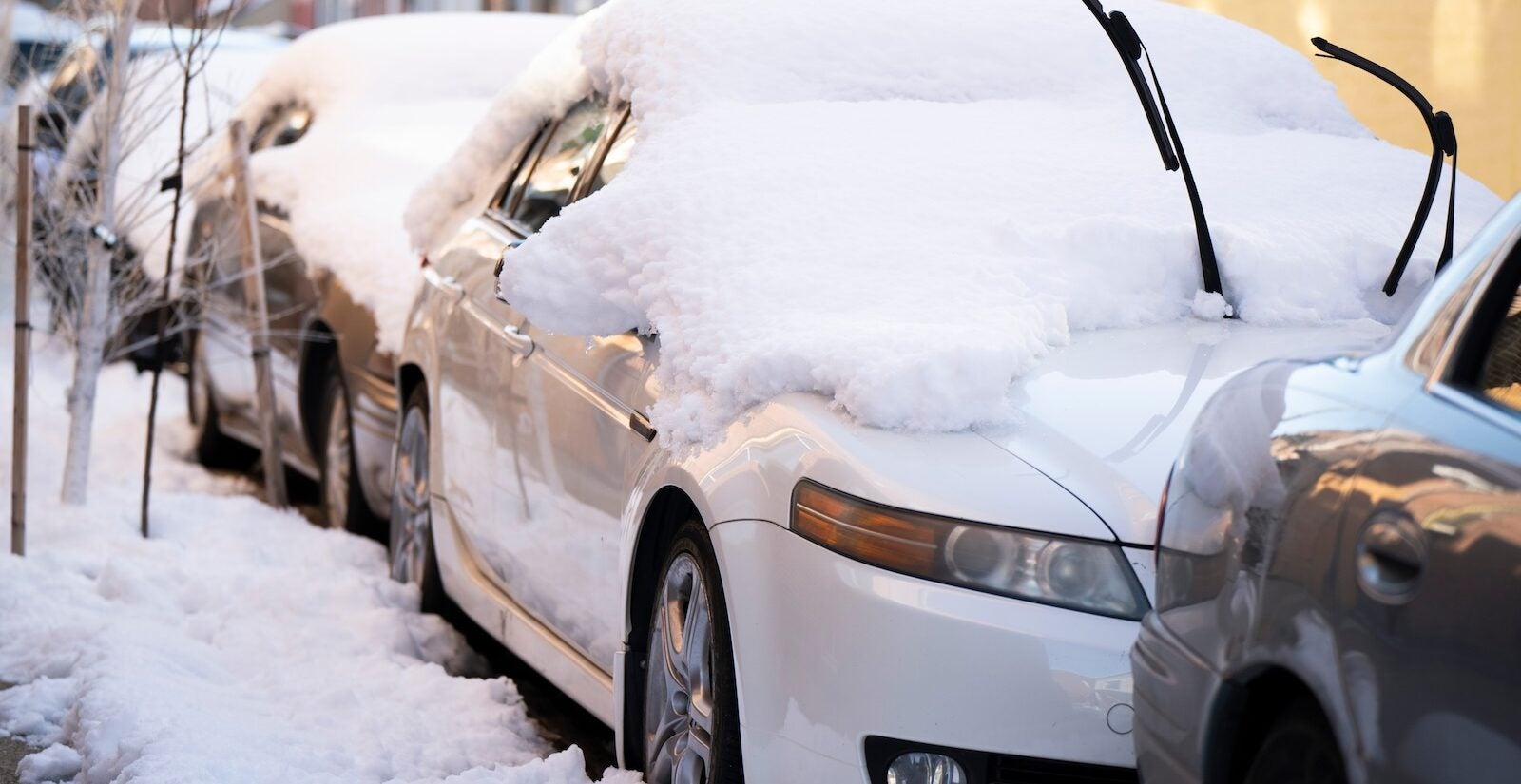 Snow stays piled up as temperatures remain below freezing on Tuesday, Feb. 24, 2026 in Philadelphia. (AP Photo/Joe Lamberti)