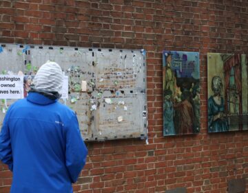 presidents-house-celebration-c-sharber-2026-02-19-01 A visitor reads the text on the panels on display