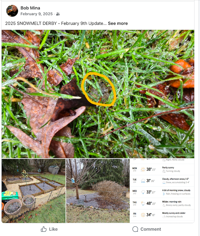 Screenshots from Bob Mina's facebook page