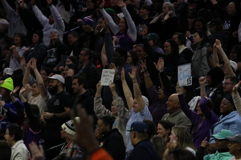fans cheer in the stands