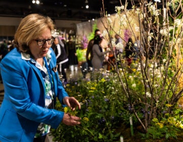 Claire Jones examines a plant