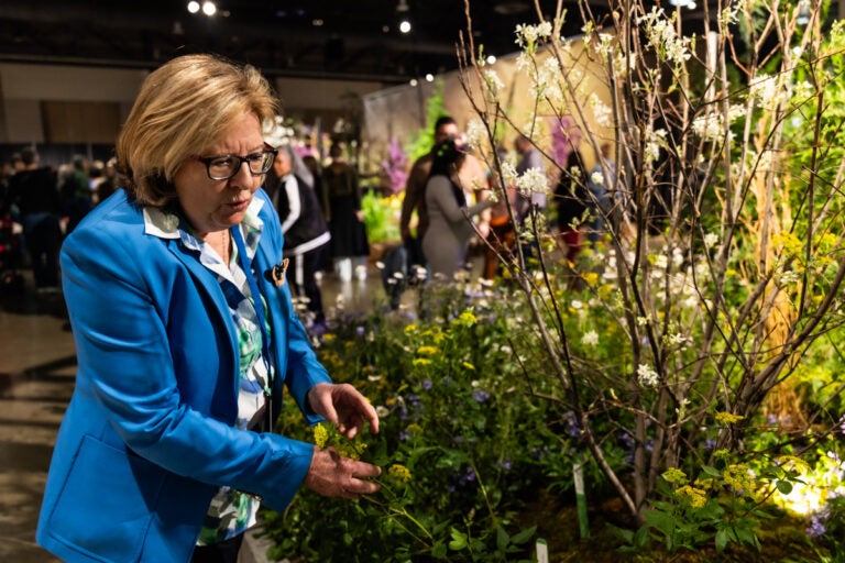 Claire Jones examines a plant
