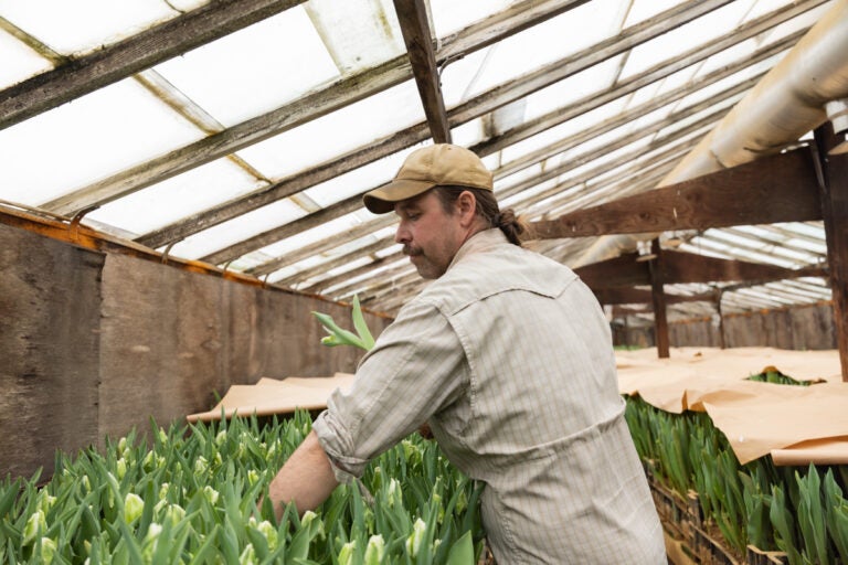 Michael Atkinson working with flowers
