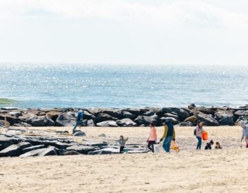 People walking along the beach picking up trash.