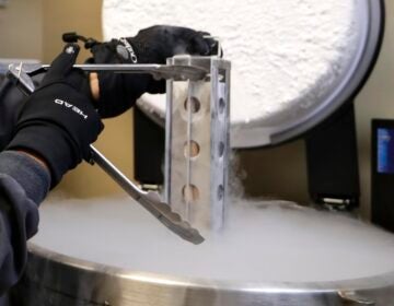 Someone is wearing protective gloves is using tongs to hold up a container that has has frozen embryos in it at a clinic.