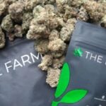 whyy.org - Cris Barrish - Delaware retail weed sales in market's first months fall far short of estimates