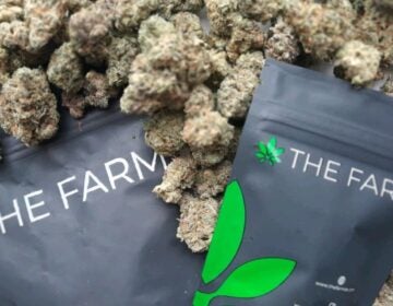 Bags of marijuana from The Farm.