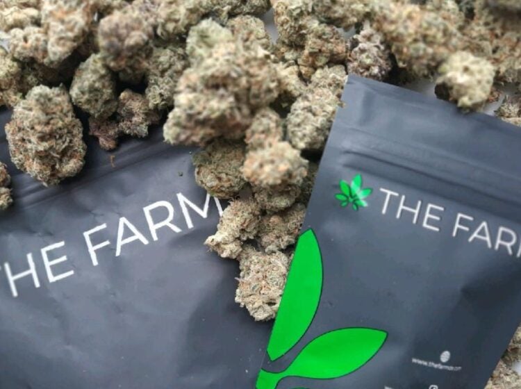 Bags of marijuana from The Farm.