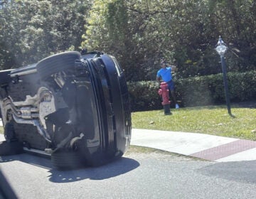 Golfer Tiger Woods stands by his overturned vehicle in Jupiter Island, Florida