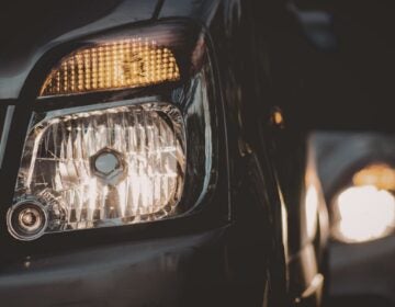 (photo credit: Canva)