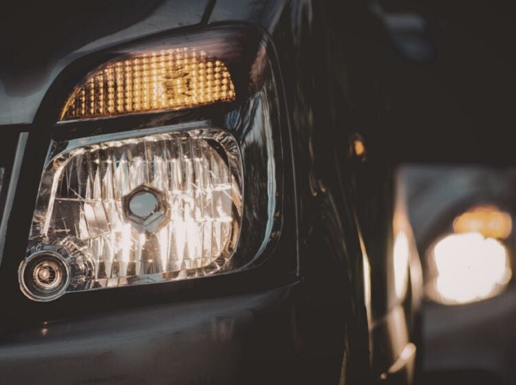 (photo credit: Canva)