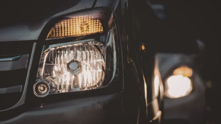 (photo credit: Canva)