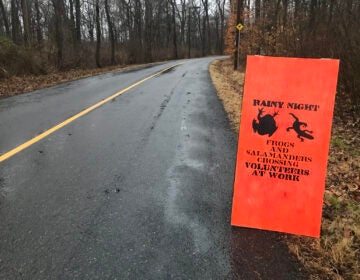 A sign on the side of the road reads 