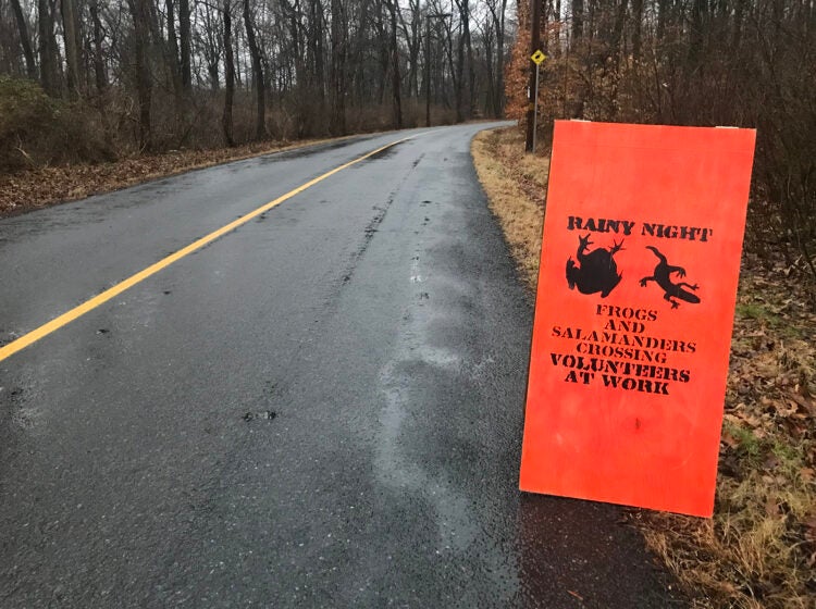 A sign on the side of the road reads 