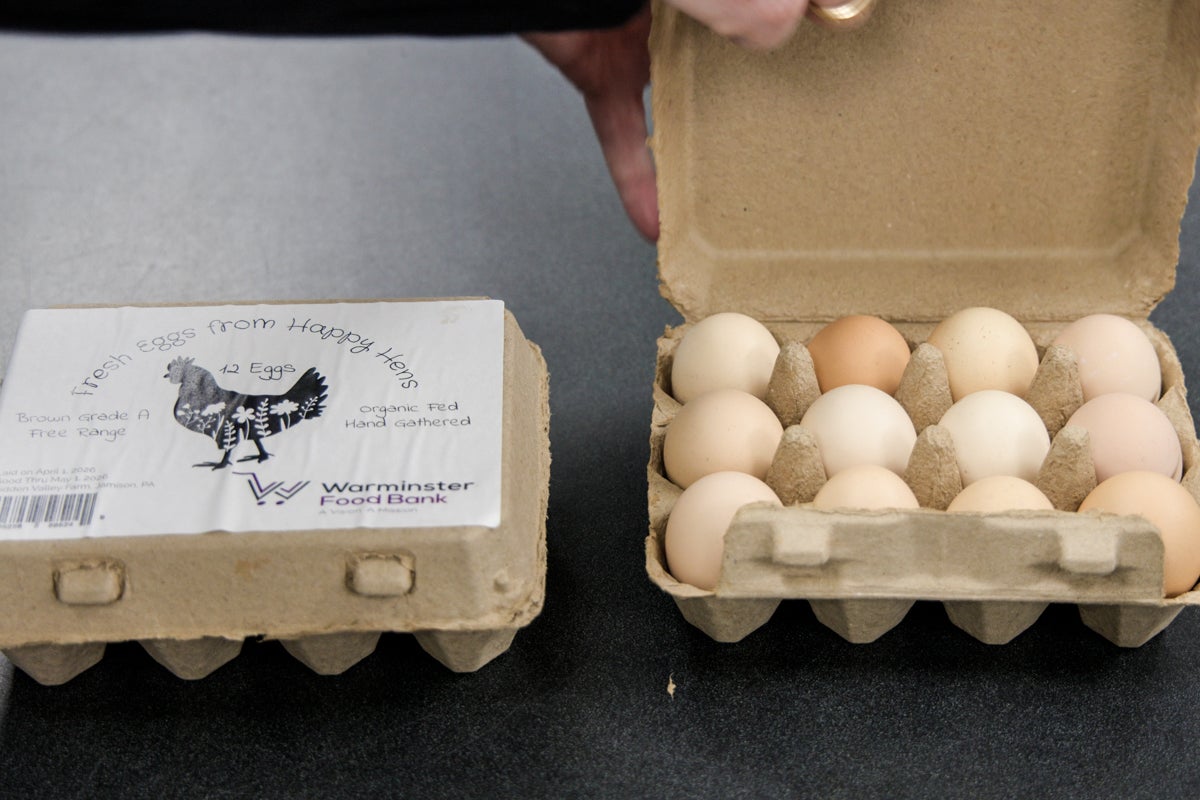 Eggs from Hidden Valley Farm