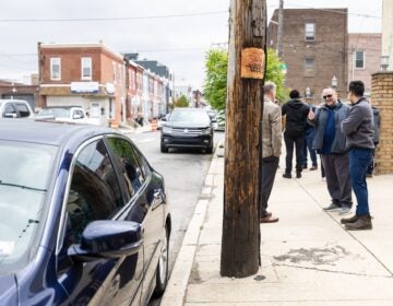 A utility pole rotted at its base