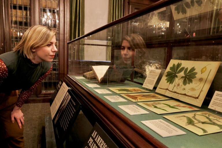 Meredith Sellers closely examining artifacts in a display case