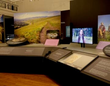 2026 03 25-e lee-philadelphia academy of natural sciences-botany of nations Several panels and photos are shown in the exhibit